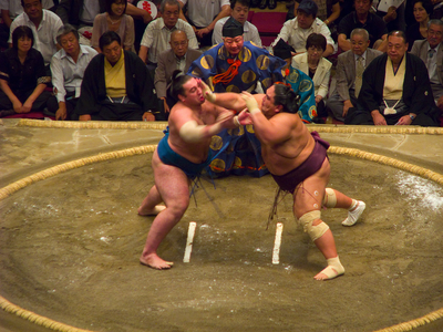 横綱の在位期間をコホート分析と生存分析で分析してみる。